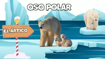 Vista previa - Hojas de trabajo - Proyecto Oso Polar - Portada