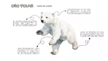 Vista previa - Hojas de trabajo - Proyecto Oso Polar - página 3