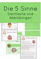 Vorschau - Merkblätter - Die 5 Sinne - Deckblatt