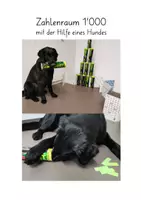 Vorschau - Spiele - ZR 1000 mit Hund - Deckblatt