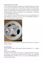 Vorschau - Experimente - Schülerexperiment: Stärkenachweis - Seite 1