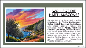 Vorschau - Merkblätter - HARTLAUBZONE: Lernkarten zur HARTLAUBZONE - Erdkunde für die Sek 1 - Seite 1