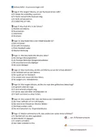 Vorschau - Test - 4x Lesetests – Leseverstehen und Textverständnis trainieren am Beispiel des Romans🐞„Feuerwanzen lügen nicht“ (A/B-Variante) (Lektüretest) - Seite 2