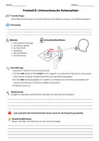Vorschau - Experimente - Versuche_Vögel_Federn_Unterrichtsbesuch - Seite 3