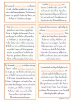 Vorschau - Arbeitsblätter - Feuer - Aufgaben der Feuerwehr - Seite 2