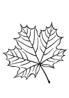 Aperçu - Feuilles d'exercices - Le Canada - Livret d'activités - Page 1