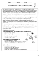 Vorschau - Stundenentwürfe - 📘 Die fünf Sinnesorgane in Gruppenarbeit entdecken 🧠👁️👂👃👅✋ - Seite 1