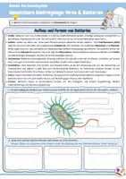 Vorschau - Arbeitsblätter - Unsichtbare Eindringlinge: Viren & Bakterien (Immunsystem / Immunbiologie / Biologie) - Seite 1