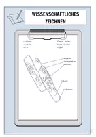 Vorschau - Arbeitsblätter - Wissenschaftliches Zeichnen - Seite 1