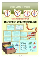 Vorschau - Merkblätter - DNA und RNA - Lernkartei - Deckblatt