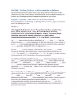 Vorschau - Arbeitsblätter - DNA - Aufbau und Struktur (AB) - Seite 1