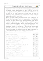 Vorschau - Arbeitsblätter - Genaues Lesen - 5 spannende Lesetexte mit Ankreuzaufgaben - Seite 2