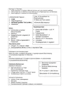 Vorschau - Stundenentwürfe - Sinne - das Auge: Planung und didaktische Überlegungen - Seite 2