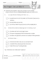 Vorschau - Test - "Cool wie Bolle" | Quiz-Fragen zum Buch - Seite 3