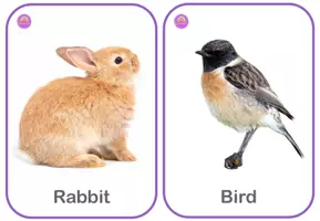 Vista previa - Juegos / Gamificación - 102 Animal Vocabulary Flashcards for ESL - página 3