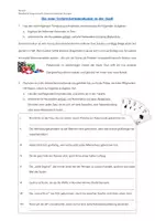 Vorschau - Stundenentwürfe - Logical - Übungen zu Satzreihe, Satzgefüge und Relativsatz (Deutsch, Klasse 5-7) - Seite 1