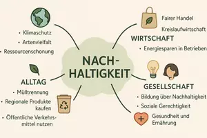Vorschau - Arbeitsblätter - Lernposter + Arbeitsblätter "Nachhaltigkeit" + Lösung & MP3 + Mindmap + Infografiken - Seite 3