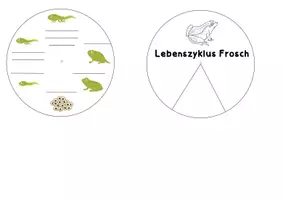 Vorschau - Mal- und Bastelvorlagen - Lapbook Teich-Vorlagen - Deckblatt