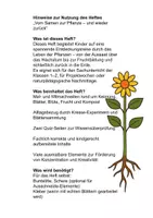 Vorschau - Mal- und Bastelvorlagen - Vom Samen zur Pflanze – und wieder zurück - Seite 1