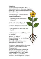 Vorschau - Mal- und Bastelvorlagen - Vom Samen zur Pflanze – und wieder zurück - Seite 2