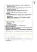 Vorschau - Arbeitsblätter - Vergleich zweier Dramentexte - Schreibkonferenz - Musterlösung - Seite 3