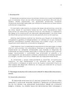 Vista previa - Presentaciones - Tema 13: Psicología evolutiva de la educación infantil II - página 2