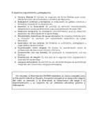 Vista previa - Presentaciones - El RD 95 sobre Educación Infantil - página 2