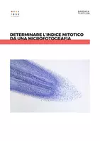anteprima - Esperimenti - Determinare l’indice mitotico da una microfotografia - Pagina di copertina