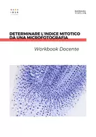 anteprima - Esperimenti - Determinare l’indice mitotico da una microfotografia - Pagina 3