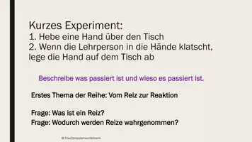 Vorschau - Präsentationen/Tafelbilder - Reihenplanung Information und Regulation (Nervensystem) - Seite 2