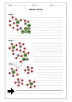 Vorschau - Arbeitsblätter - Lösungsvorgang - Wasser löst Salz - Chemie - Seite 2