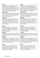 Vorschau - Arbeitsblätter - Brückenbau-Fachbegriffe-M + Lösung - Seite 2