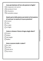 anteprima - Compiti in classe/Test - SCIENZE - CLASSE SECONDA - LE PIANTE - VERIFICA A CROCETTE - Pagina 3