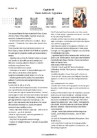 Vorschau - Unterrichtsreihen - Leseverstehen Spanisch: "Argentina" - Seite 3