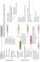 Vorschau - Arbeitsblätter - Polsterfüllstoffe - Mindmap zur Übersicht - Deckblatt