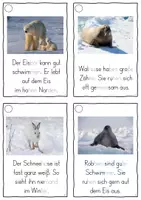 Vorschau - Fördermaterial/Inklusion - In der Arktis, Lesekarten für Erstleser (Silbenmethode), Nr. 020 - Seite 3