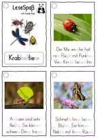Vorschau - Fördermaterial/Inklusion - Krabbeltiere, Lesekarten für Erstleser (Silbenmethode), Nr. 021 - Seite 1