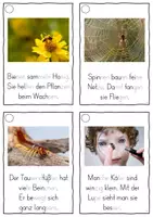 Vorschau - Fördermaterial/Inklusion - Krabbeltiere, Lesekarten für Erstleser (Silbenmethode), Nr. 021 - Seite 2