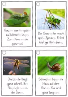 Vorschau - Fördermaterial/Inklusion - Krabbeltiere, Lesekarten für Erstleser (Silbenmethode), Nr. 021 - Seite 3