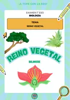 Vista previa - Refuerzo / NEE / Materiales de apoyo - 1 ESO BIOLOGY PLAN KINGDOM BILINGÜE - página 1