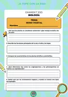 Vista previa - Refuerzo / NEE / Materiales de apoyo - 1 ESO BIOLOGY PLAN KINGDOM BILINGÜE - página 2