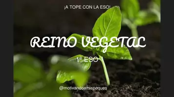 Vista previa - Refuerzo / NEE / Materiales de apoyo - Presentación REINO VEGETAL en Power Point - Portada