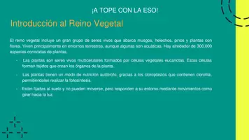 Vista previa - Refuerzo / NEE / Materiales de apoyo - Presentación REINO VEGETAL en Power Point - página 1