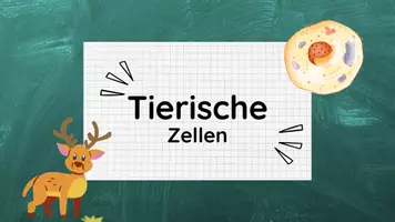 Vorschau - Stundenentwürfe - tierische Zellen inkl Lösungen & Spiel - Zellen Teil 2 - Biologie - Seite 2