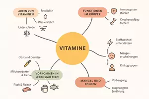 Vorschau - Arbeitsblätter - Lernposter + Arbeitsblätter zum Thema "Vitamine" + Lösung & Fragen & MP3 + Mindmap + Infografik - Seite 3