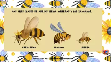 Vista previa - Unidades / Secuencias / Situaciones de Aprendizaje - ABP. ABEJAS. PRIMAVERA. INSECTOS. - página 3