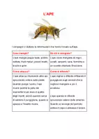anteprima - Materiale di supporto/inclusione - GLI ANIMALI (prima parte) - Pagina 2