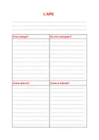 anteprima - Materiale di supporto/inclusione - GLI ANIMALI (prima parte) - Pagina 3