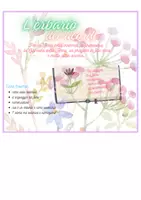 anteprima - Altro tipo di materiale - L'erbario dei ricordi; per la festa della mamma, la primavera, la giornata della Terra o il progetto di fine anno - Pagina di copertina