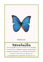Προεπισκόπηση - Flashcards - Έντομα αληθινές εικόνες - Teacher's Little Tales - Σελίδα 1